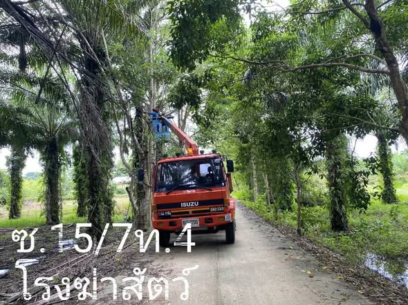 กองช่างลงพื้นที่เข้าซ่อมแซมไฟฟ้าส่องสว่างในเขตเทศบาลตำบลวังไผ่ ✅ คลิ๊ก Link ด้านล่างเพื่อดูข้อมูล👇
