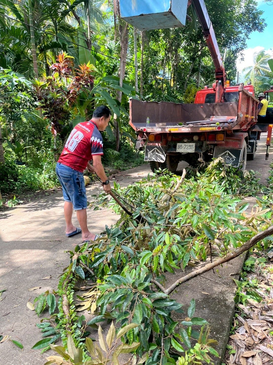 งานป้องกันและบรรเทาสาธารณภัย ลงพื้นที่ตัดต้นไม้ที่บดบังวิสัยทัศน์ในพื้นที่เทศบาลตำบลวังไผ่ ✅ คลิ๊ก Link ด้านล่างเพื่อดูข้อมูล👇