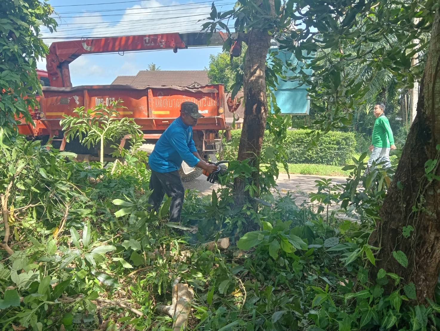 งานป้องกันและบรรเทาสาธารณภัย ลงพื้นที่ตัดต้นไม้ที่ยื่นล้ำถนน